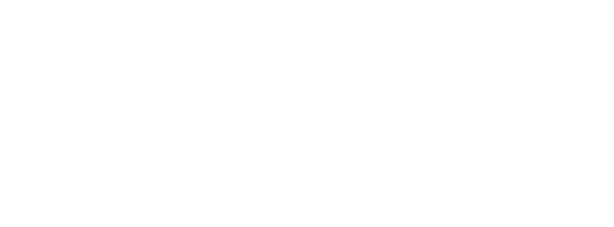 Velocity Frequent Flyer logo white